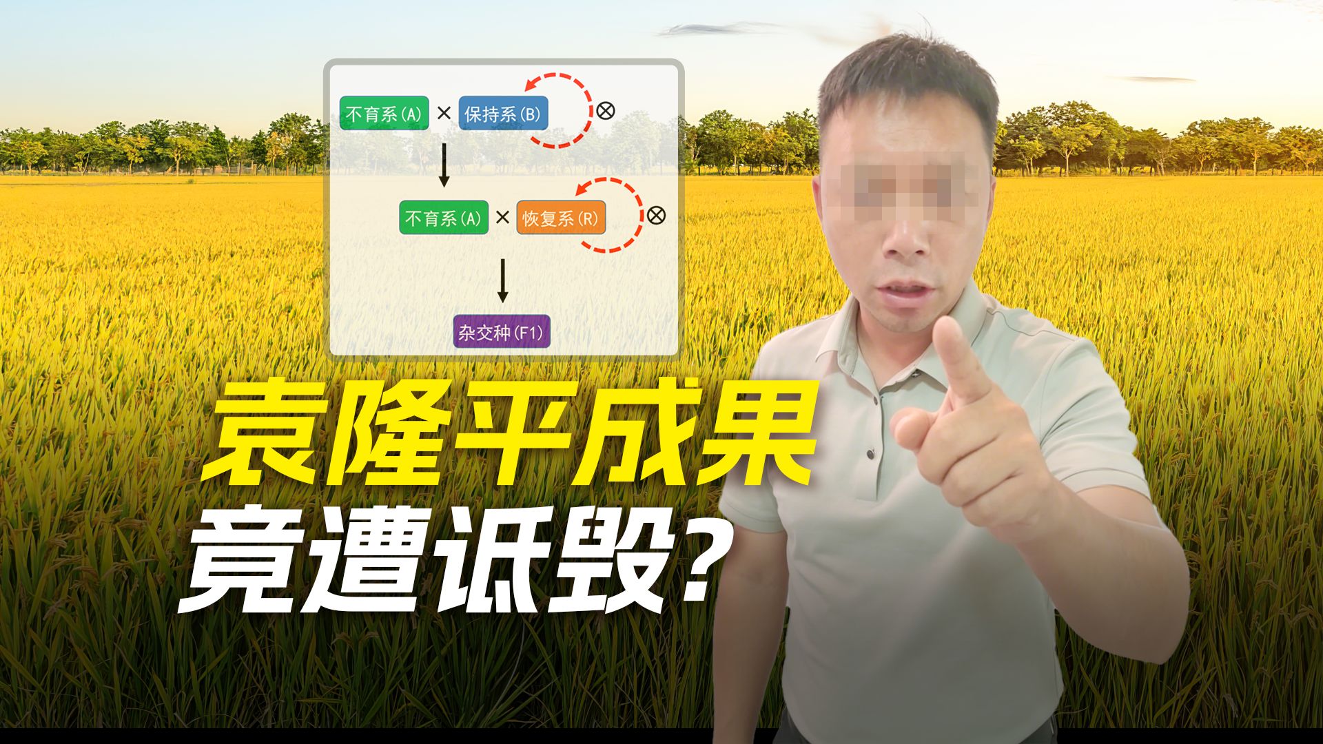 诋毁袁隆平、抹黑无底线：农业造谣者有多无法无天