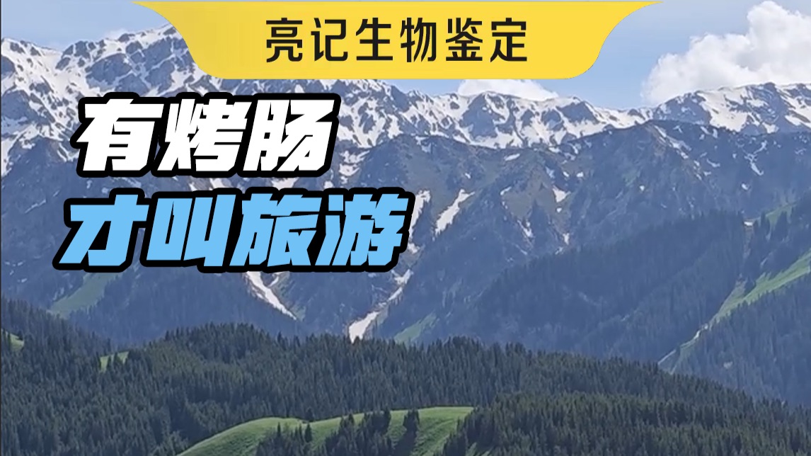 有烤肠才叫旅游，没有烤肠那叫赶路
