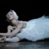 【千面女王】马林首席Diana Vishneva短芭蕾片段合集（含代言）