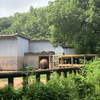 zoo