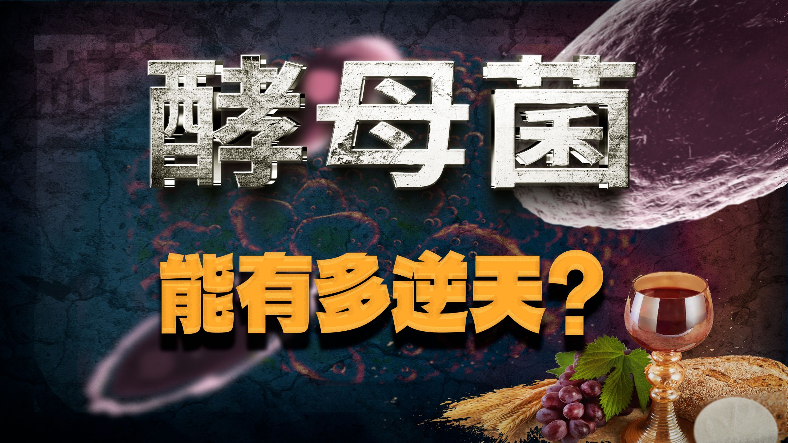 秒杀微生物，吸食核辐射，酿酒界的神，酵母菌有多逆天！