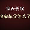 一声叹息！火烧眉毛了还满世界放野炮，比亚迪奇瑞吉利笑晕