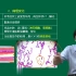 【2022考研西综】 贺银成病理学 贺银成生理学 生物化学 内科学 外科学