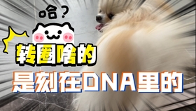 21422b7d56b3d17f24c0e3f3e991a6abe20fa1f5.jpg@280w_158h_1c_100q.jpg