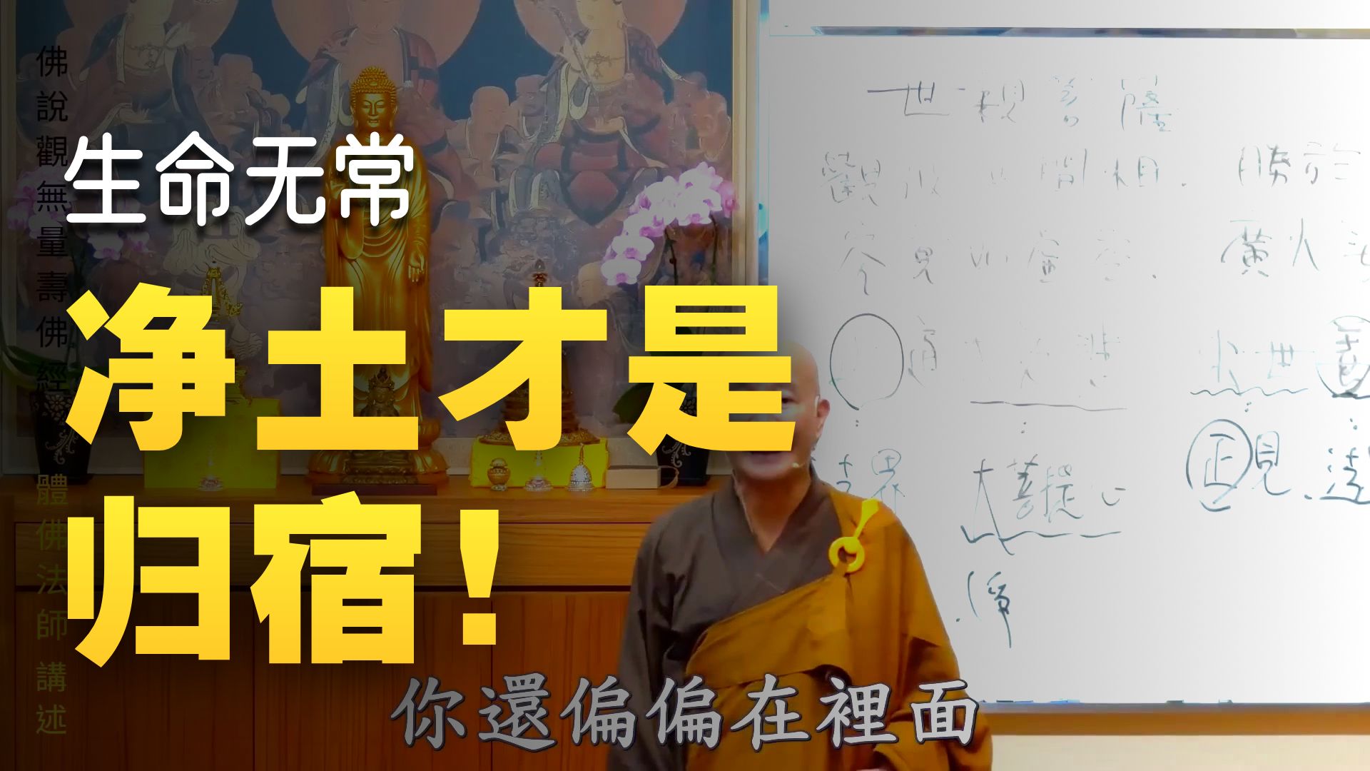 体佛法师开示：我们只有一条路 （《观无量寿经》第四讲）