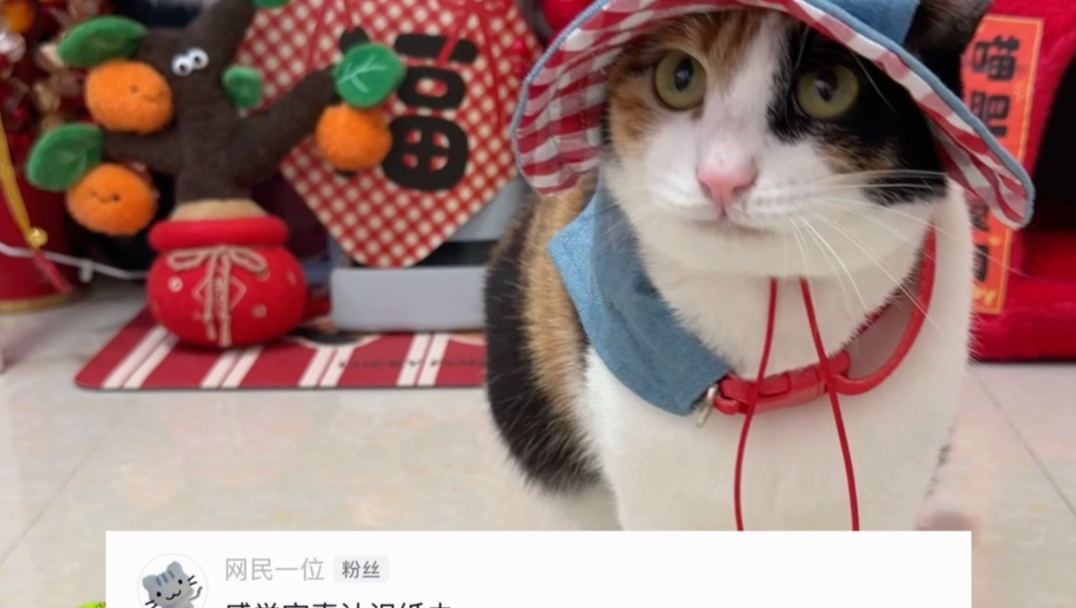 感觉它真认识纸巾