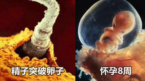 21534b6239f98a329fb44ae8207e5856815bc5b7.jpg@480w_270h_1c