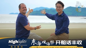 短剧外包拍摄费用，市场分析、成本构成与预算规划，短剧外包拍摄费用，市场分析、成本构成与预算规划