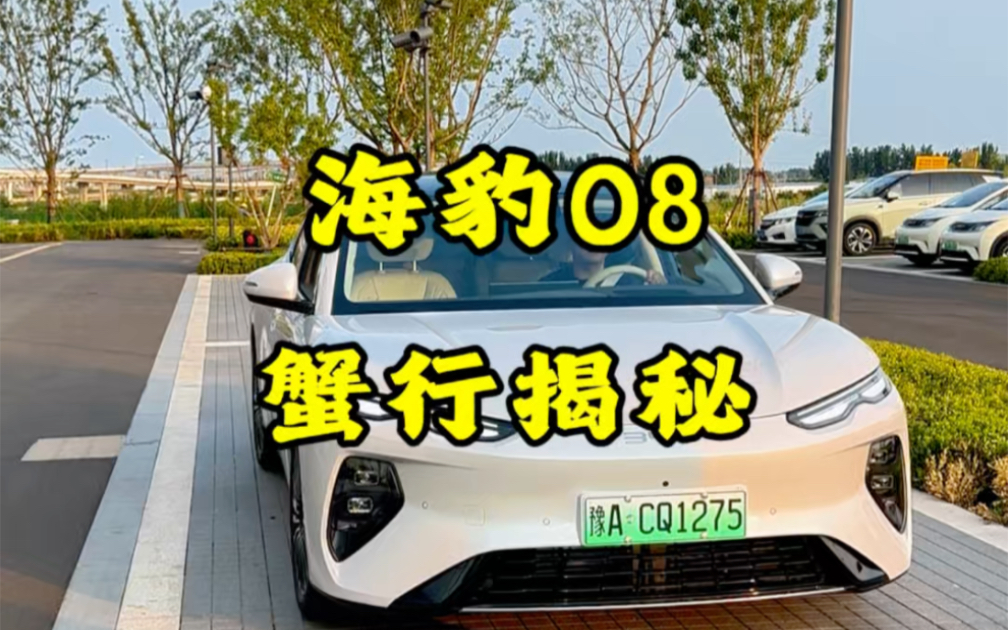 海豹08蟹行模式揭秘，羡慕海豹08车主每一天，这么好的车！