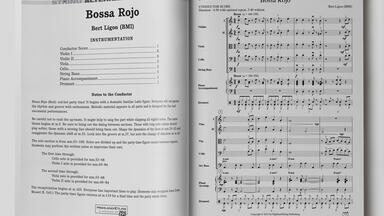 巴萨诺瓦派对 3.5级交响弦乐作品 （Bossa <em class="keyword">Rojo</em>）