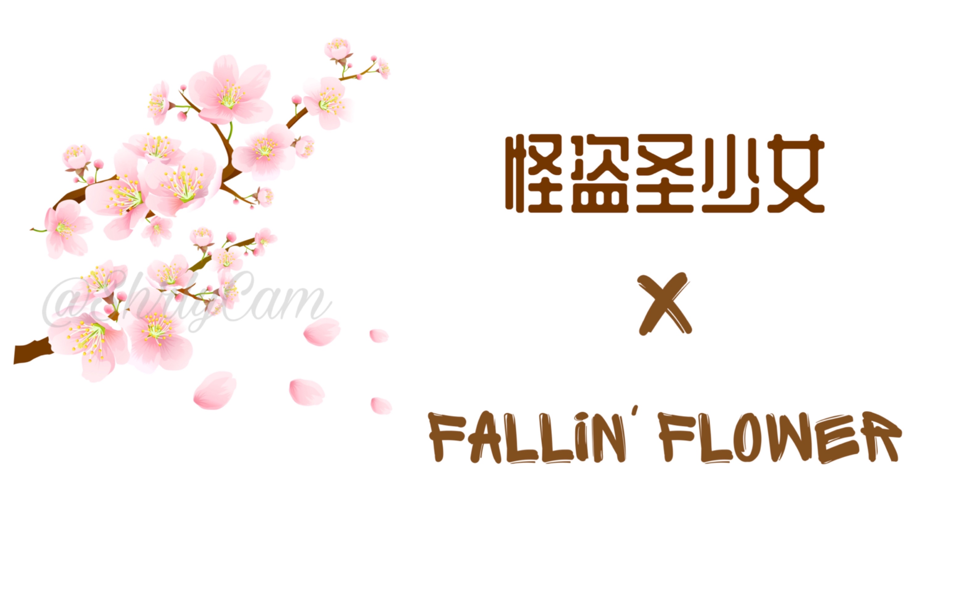 fallin flower罗马音,fallinflower seventeen小十七最新日单fallinflowerx怪盗圣少女