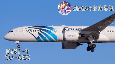<em class="keyword">埃及航空</em>787-9