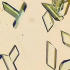 【炼金社】【自制】【显微延时摄影】晶体是怎么长出来的（下）【硫酸铜，明矾和掺杂型结晶】