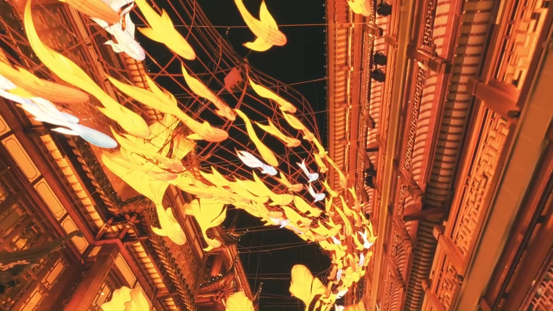 【空镜素材】鱼灯