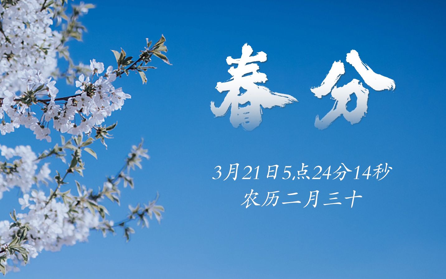 春分｜春色从此分，春意从此浓