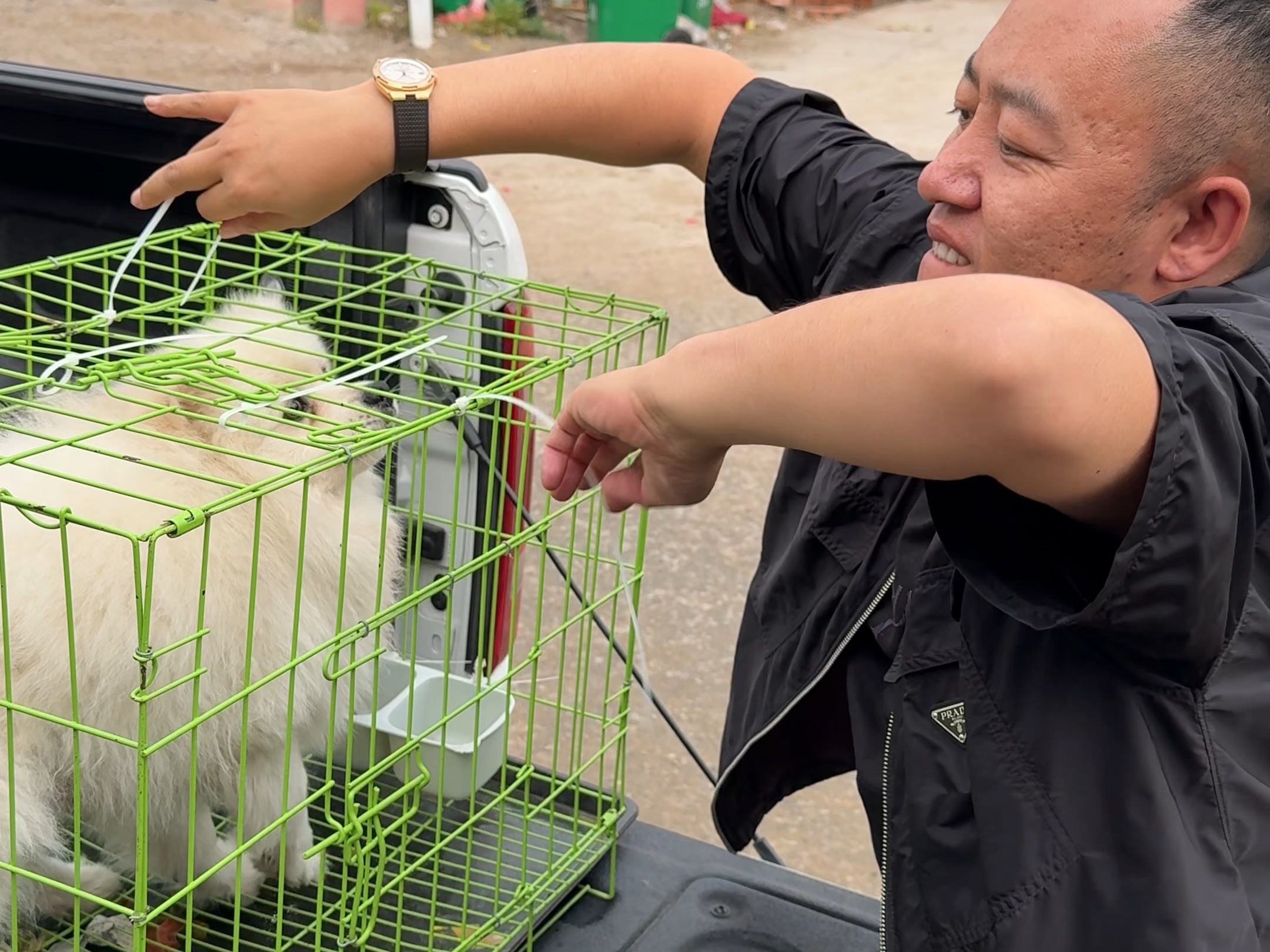 潘宏爱玩狗