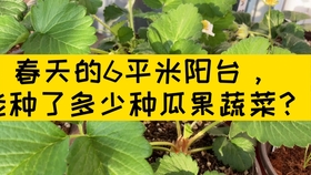 21c012bee8f4f085c518b98e2737c3c0d013ceeb.jpg@280w_158h_1c_100q.jpg