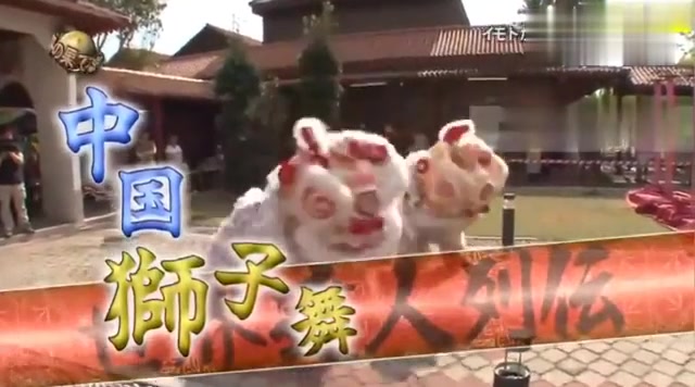 日本综艺：搞笑谐星学习中国狮子舞，高处蹦跳不畏惧，太敬业了