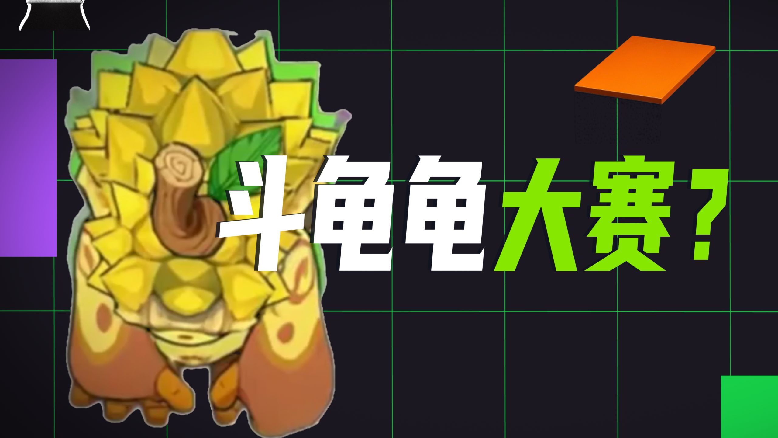 天下无双斗龟龟大赛，金铲铲挑战！谁能把龟龟的等级养到最高?奖金高达7000贝壳~