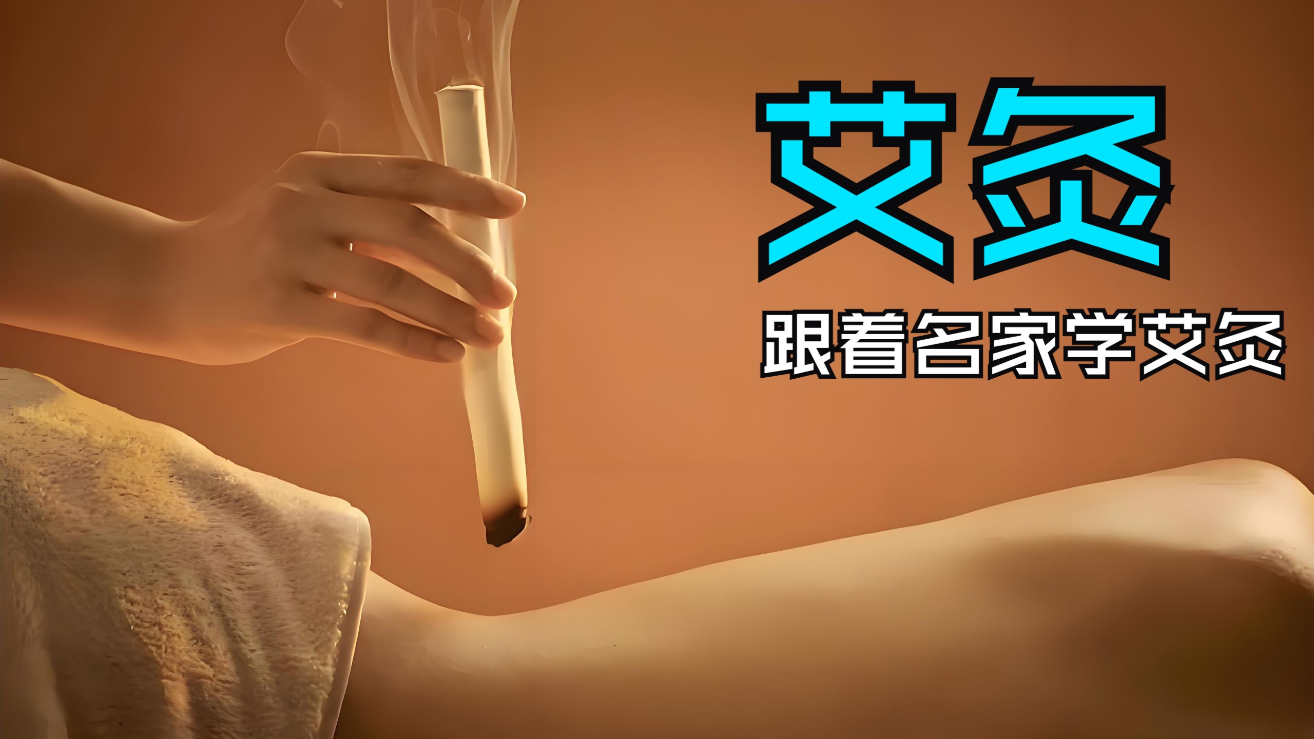 央视《跟着名家学艾灸》（全集）