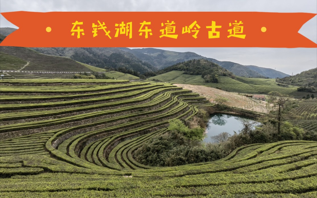 活动作品宁波小众景点探秘东钱湖东道岭古道