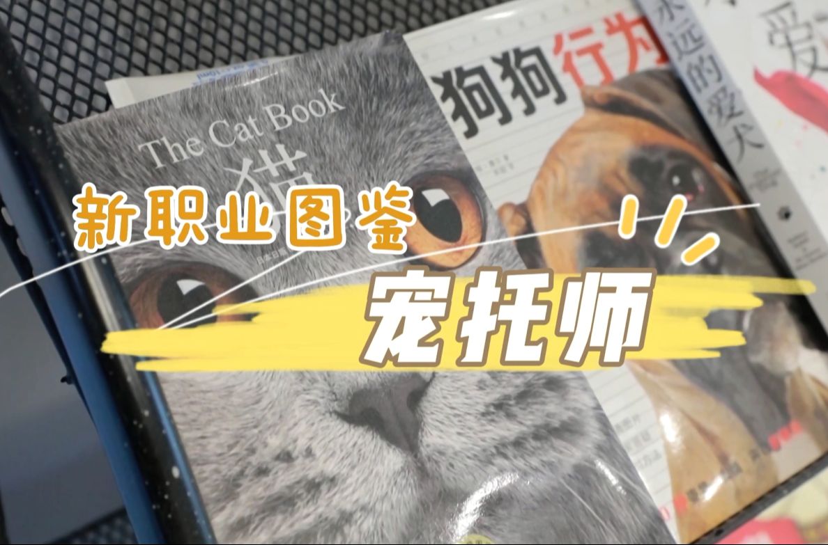 新职业图鉴：宠托师