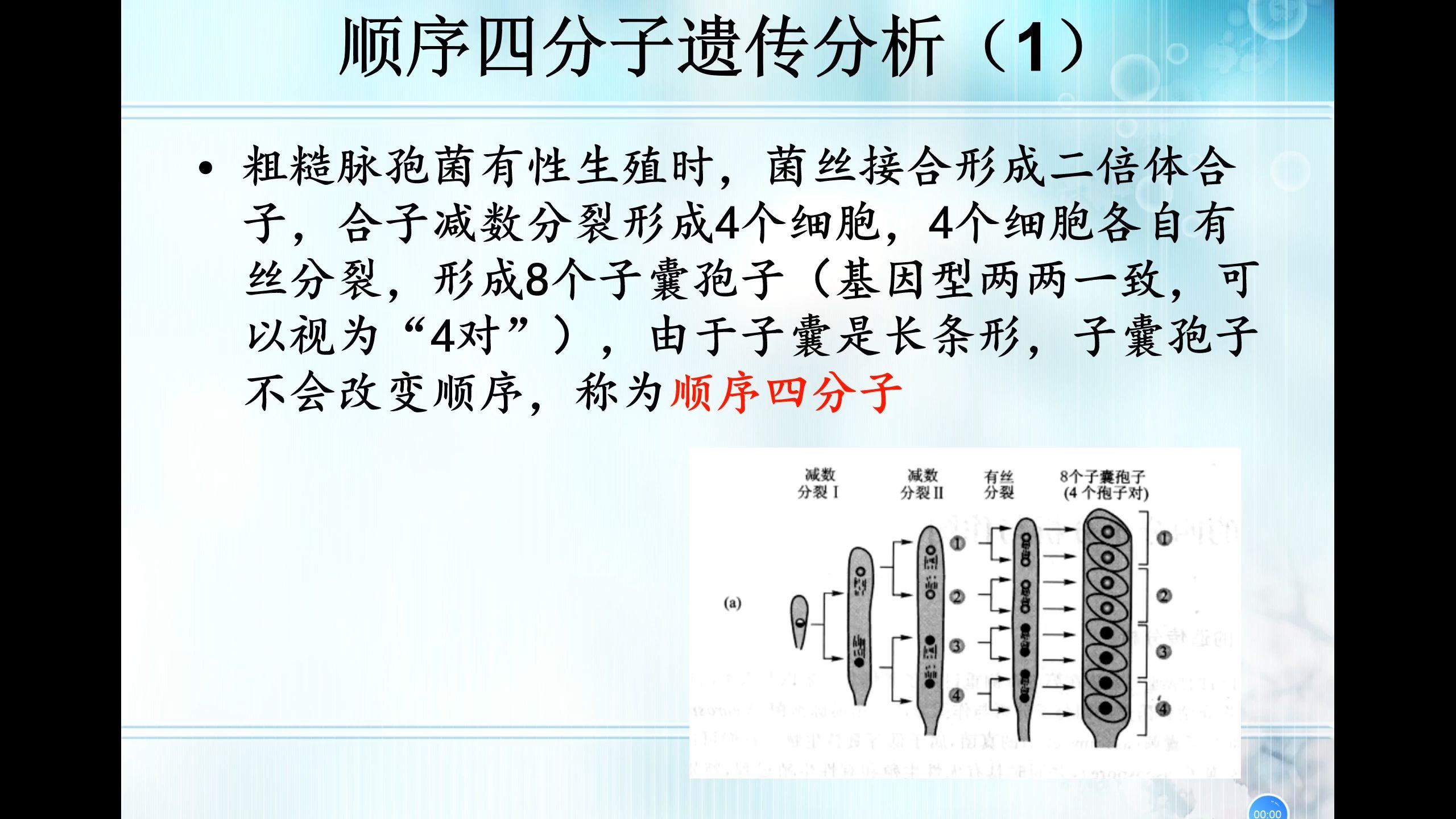 生物竞赛难点124-遗传与分子生物学补充-顺序四分子分析