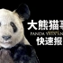 【基德】孟菲斯动物园与熊猫丫丫报告：中美黄昏 熊猫迟暮