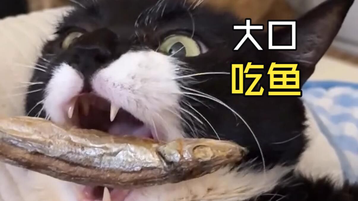 那些动物们的用餐时间！