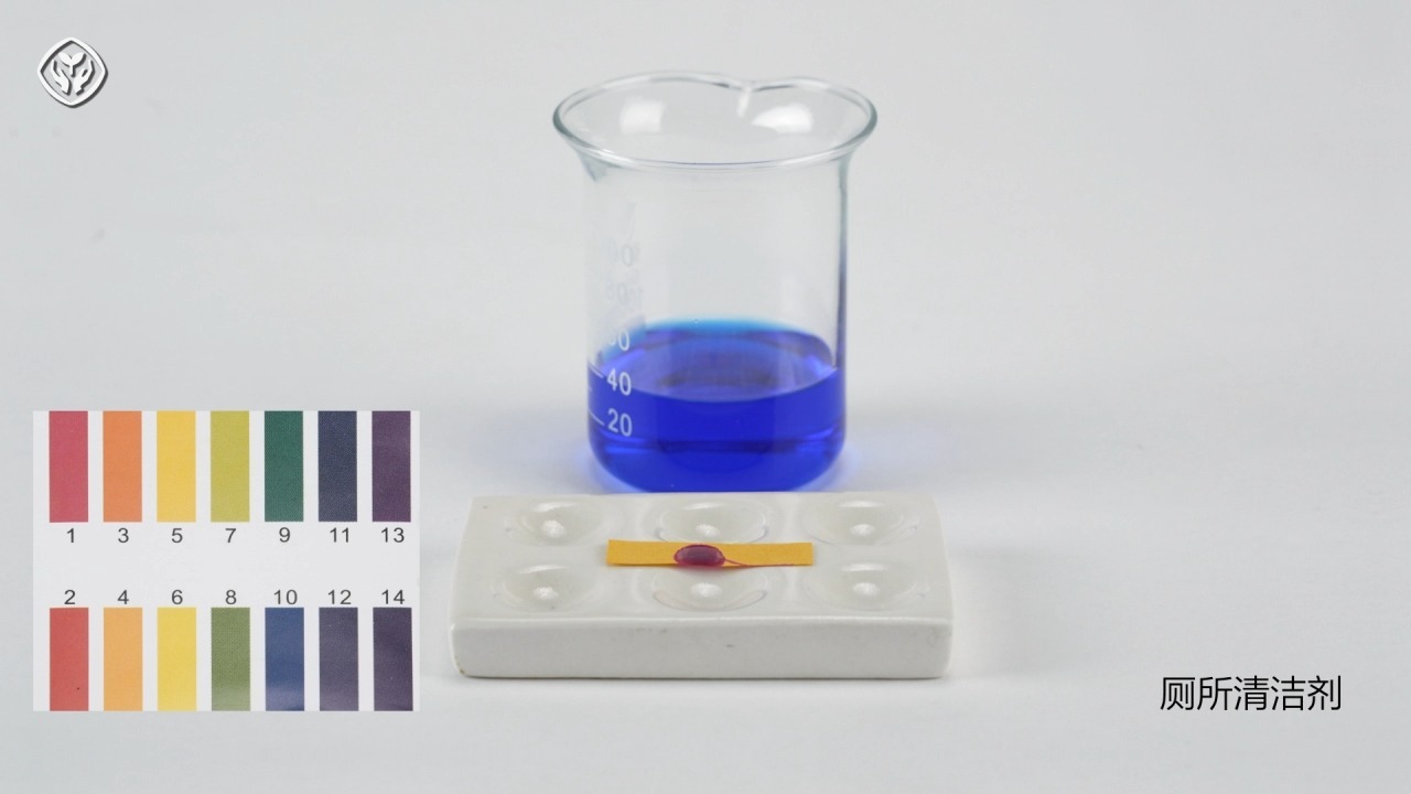 【人教版2024】10-3测定身边物质的pH（初中化学）