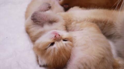 2202b4713497464444bfff099ad616c4574f7dae.jpg@480w_270h_1c