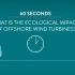 【中文字幕】一分钟了解风电对生态环境的影响