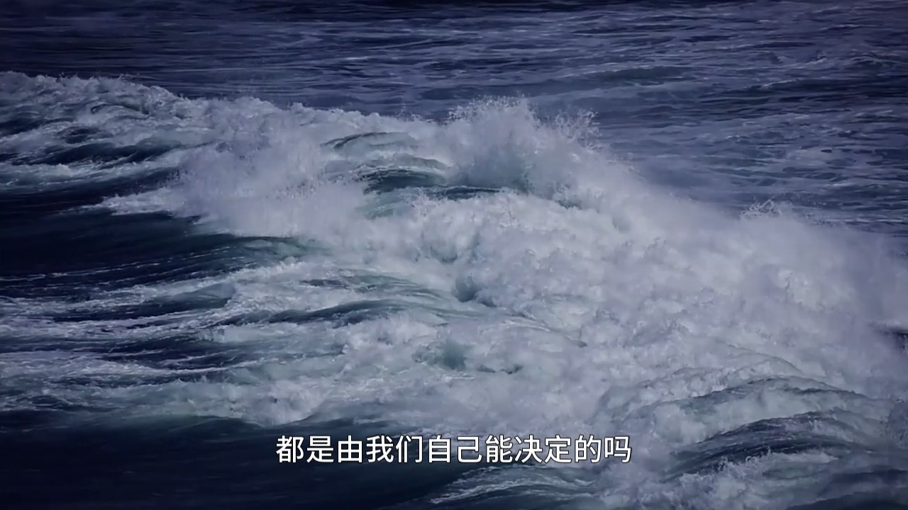 什么才是真正的自己？为什么修行偏要从意识下手？佛家最顶级的智慧：现量、比量、非量。