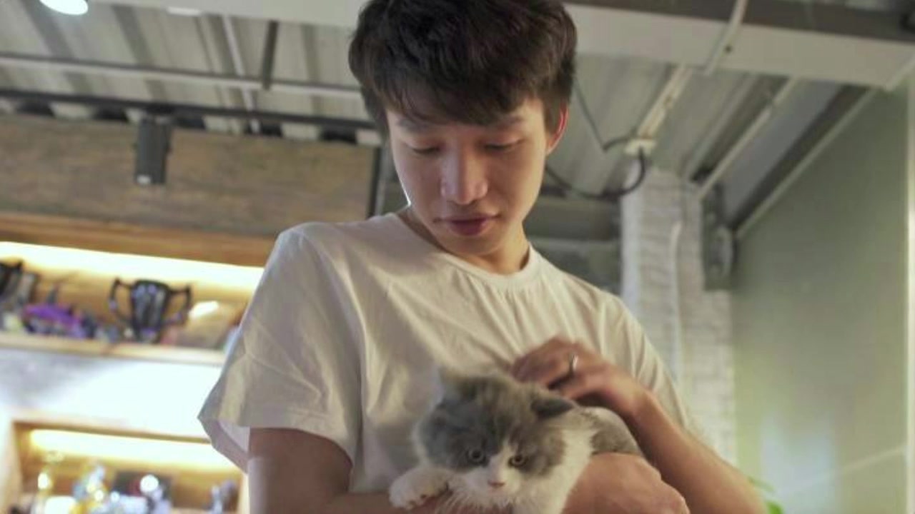 clearlove高清壁纸