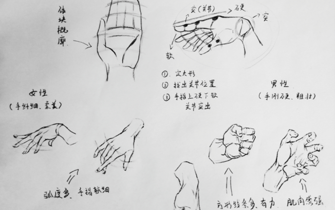 漫画教学-手的画法(理解篇)