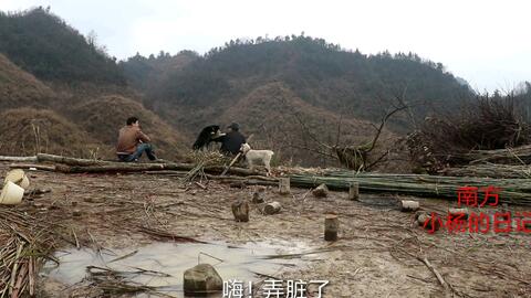 227f5c47808a198a44f6ff6a957c582028e17857.jpg@480w_270h_1c