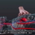 三维视频说明CPR[心肺复苏术]运行原理CPR in Action _ A 3D look inside the bod