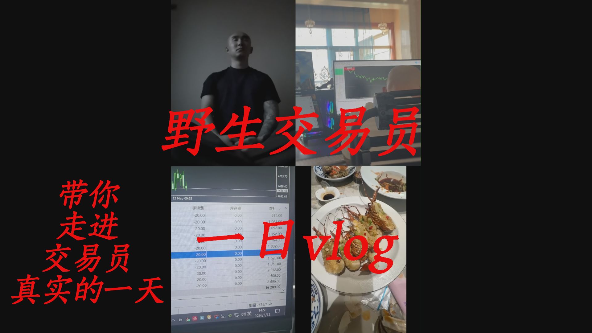 野生交易员的一日vlog