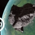 【360°全景VR视频】陨石撞地球 最后竟然这样？