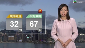 卓依婷新年喜洋洋曲谱_卓依婷新年(4)