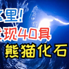 贵州绥阳双河洞跃居“世界第三长洞” 发现大熊猫个体化石40具