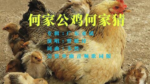 22c738be418d2fce42c16b82c4991ca89f566b4f.jpg@480w_270h_1c