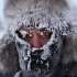 俄罗斯的冬天到底有多冷？最低-71.2℃,出门不动秒变冰棍！
