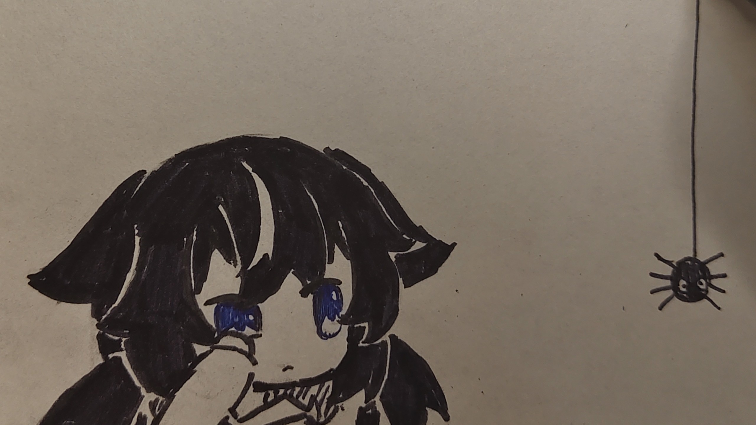 〖纸绘动画〗:纸上逗猫2.1（重制）