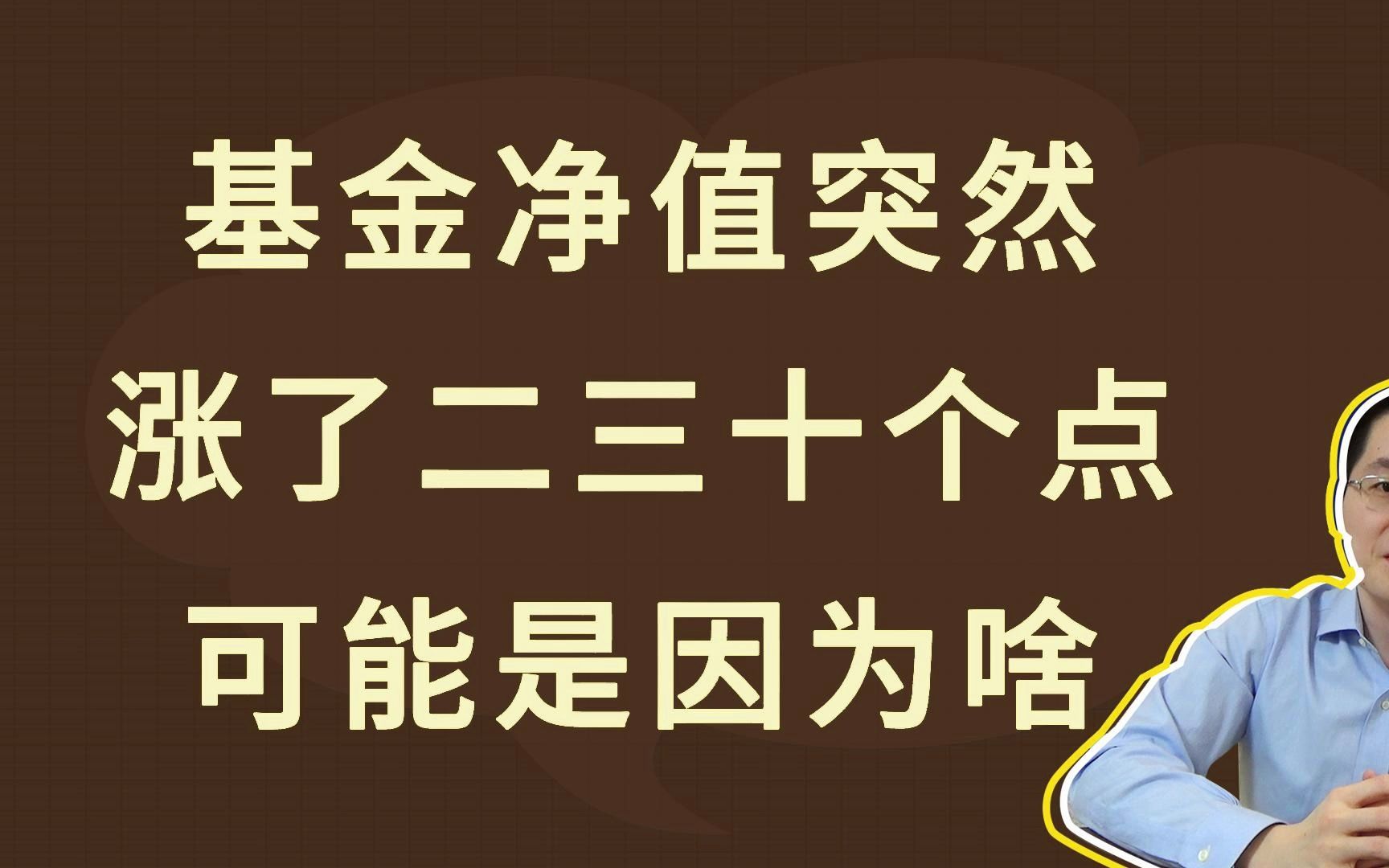 基金净值突然涨了二三十个点,可能是因为啥哔哩哔哩bilibili