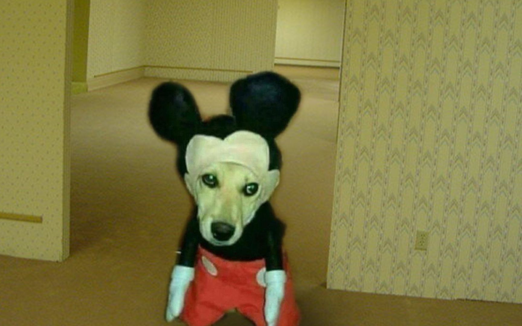 Backrooms: ㊙️巨恐怖~㊙️