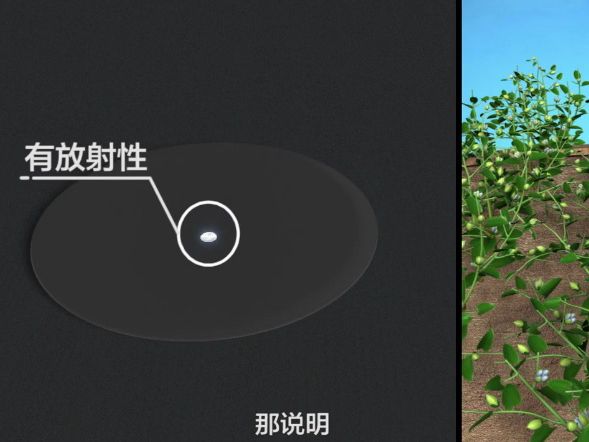 检测目的基因是否翻译