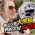 带俄罗斯媳妇看中国大熊猫 哒莎直呼照顾的太好了太可爱了！