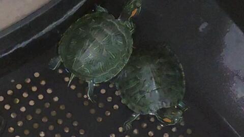 23371d37b90b419577f6fae5fdbf08a0fade4b3f.jpg@480w_270h_1c