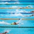 重温：国际泳联世界游泳锦标赛男子100米自由泳决赛，百看不厌！